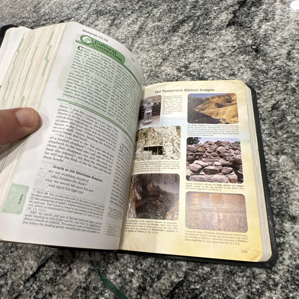CATHOLIC YOUTH BIBLE--NSRV Catholic Edition-2010 Flexible Leatherette-SUPERB!‎